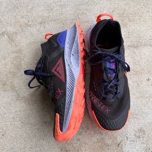 Nike Pegasus trail Goretex 3 shoes